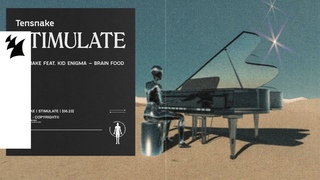 Tensnake feat. Kid Enigma - Brain Food (Official Visualizer)
