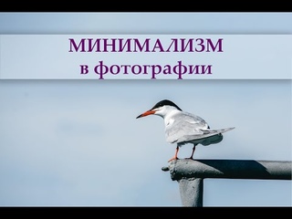 Минимализм в фотографии. 7 главных правил.