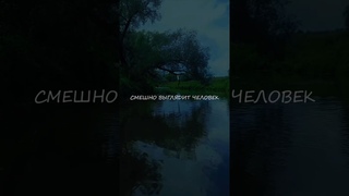 Скромность красит человека #скромность #терпение #цитаты #мудрость #сильные #сильныеслова #мотивация