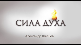Сила духа | Александр Шевцов