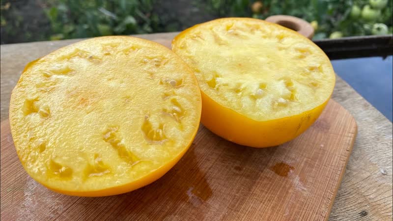 Сибирский мясистый томат Супер сорт Томат Золотые купола,