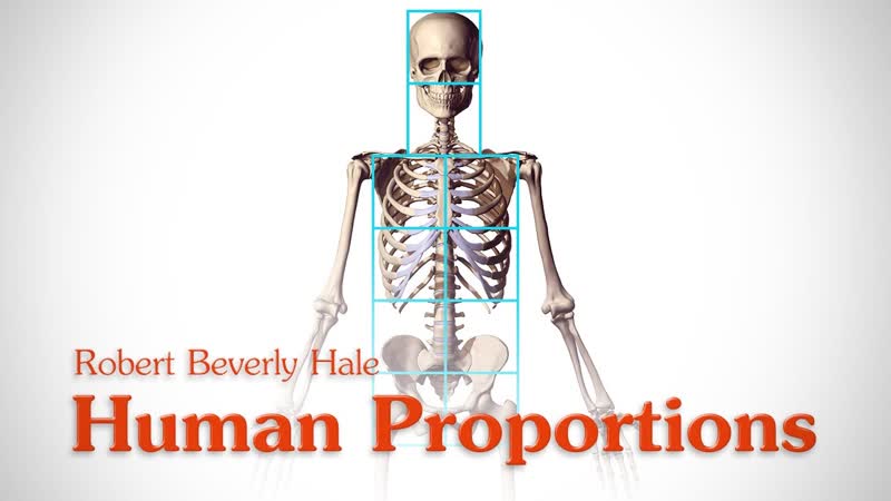 Human Figure Proportions Cranial Units Robert Beverly