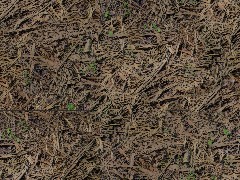 PBR Forest Ground A210