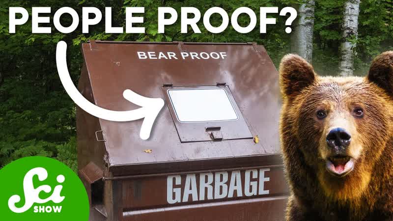 Why Cant We Design A Bear Proof Trash