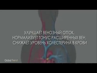 Что такое Нано бальзам VITALITY LUX