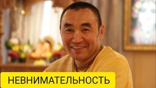 - Невнимательность. Бишкек. Е.С. Даяван Свами