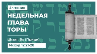 Бо (Приди). 5 Чтение. Недельная глава Торы: Исход 12:21-28