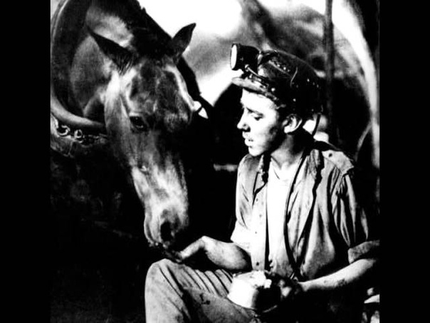 Шахтерская лошадь. А молодого коногона несут. Песня коногона шахтерская. Коногон песня. Лошади в шахте.