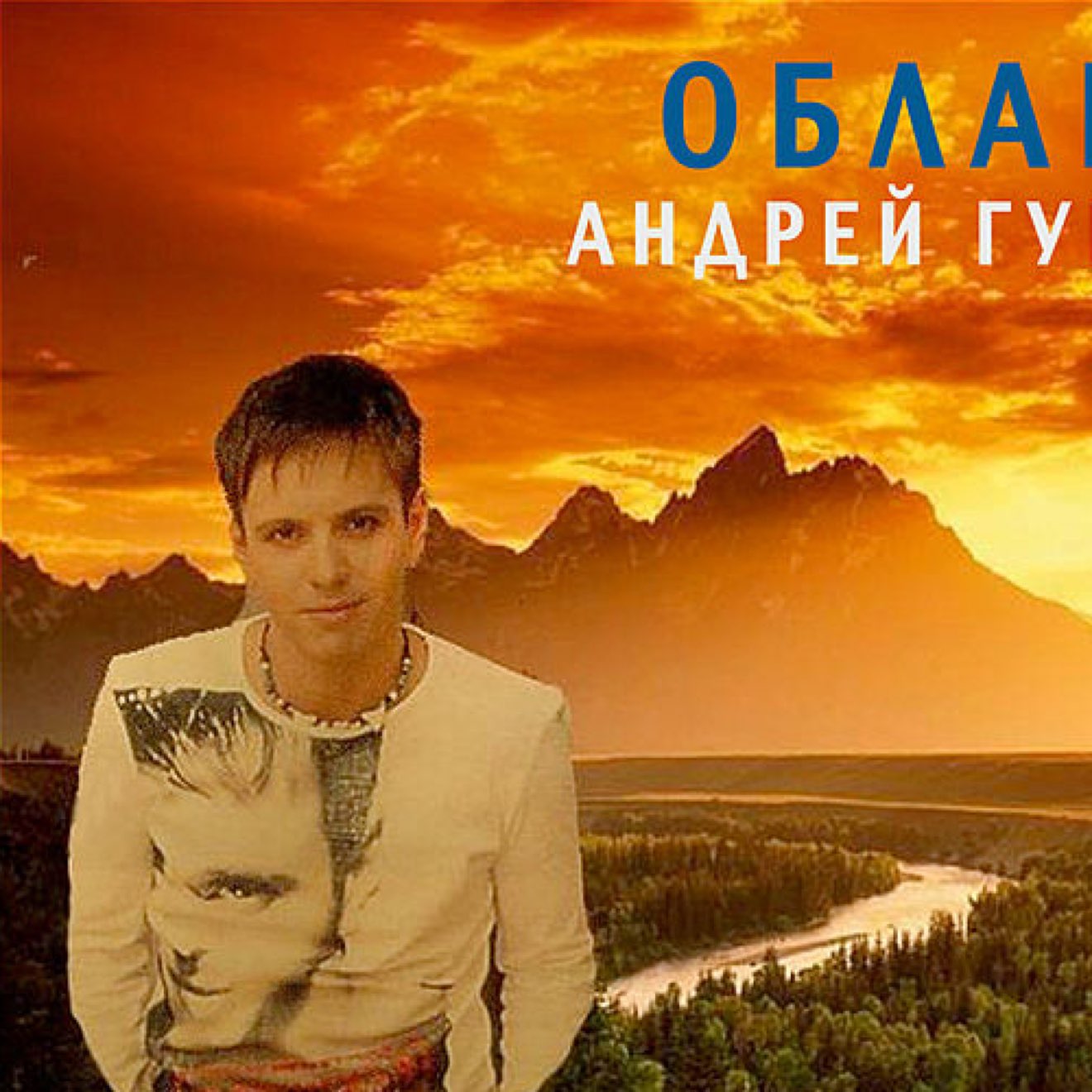 Андрей Губин