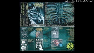 Sulfuric Cautery – Experiments With Sulfur (The First Year 2015-2016) FULL TAPE
