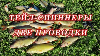 Тейл спиннеры  ДВЕ ОСНОВНЫХ ПРОВОДКИ!  Влияние цвета на поклёвки!