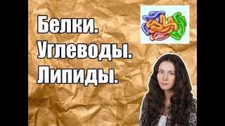 Белки. Углеводы. Липиды.