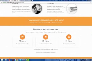 Rubin Capital - обзор, вложил 100$