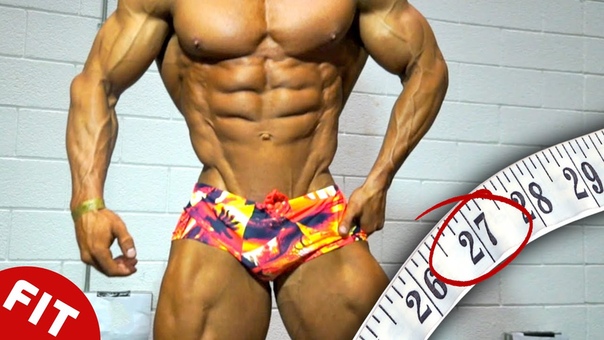 BODYBUILDERS TINY 27 INCH