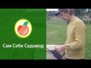 Питомник плодовых деревьев “с нуля“. (2)