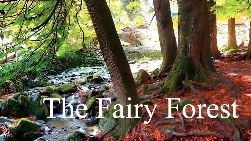 a Stream In The Woods The Perfect Place To Relax