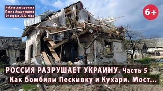 #4.5 ВОЙНА! Разбомбленные Пескивка и Кухари. Россия разрушает Украину!