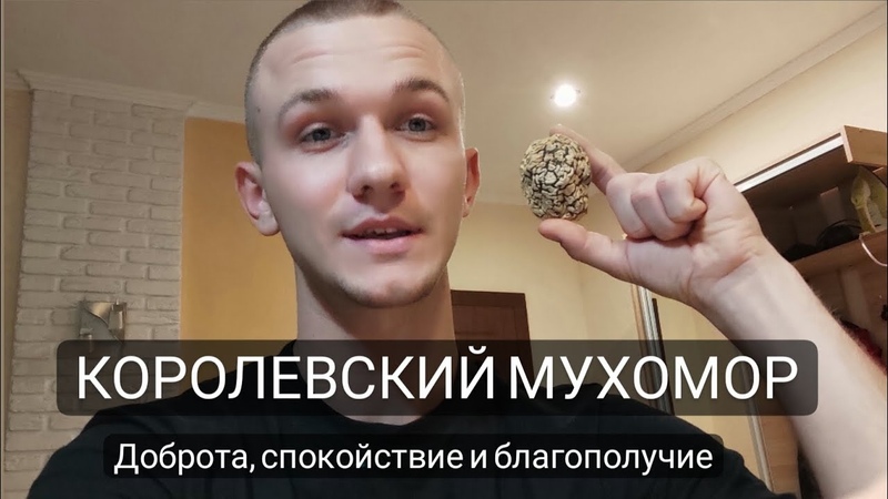 Королевский мухомор. Пора расставить все по