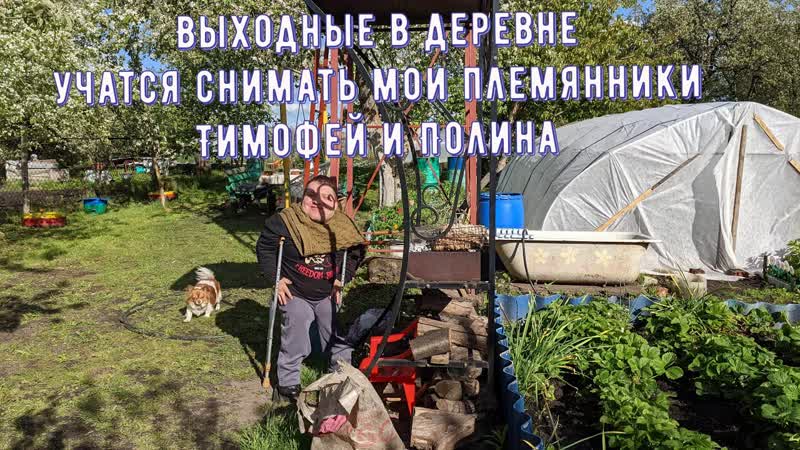 Племянники отняли камеру и хотят стать блогерами, майский