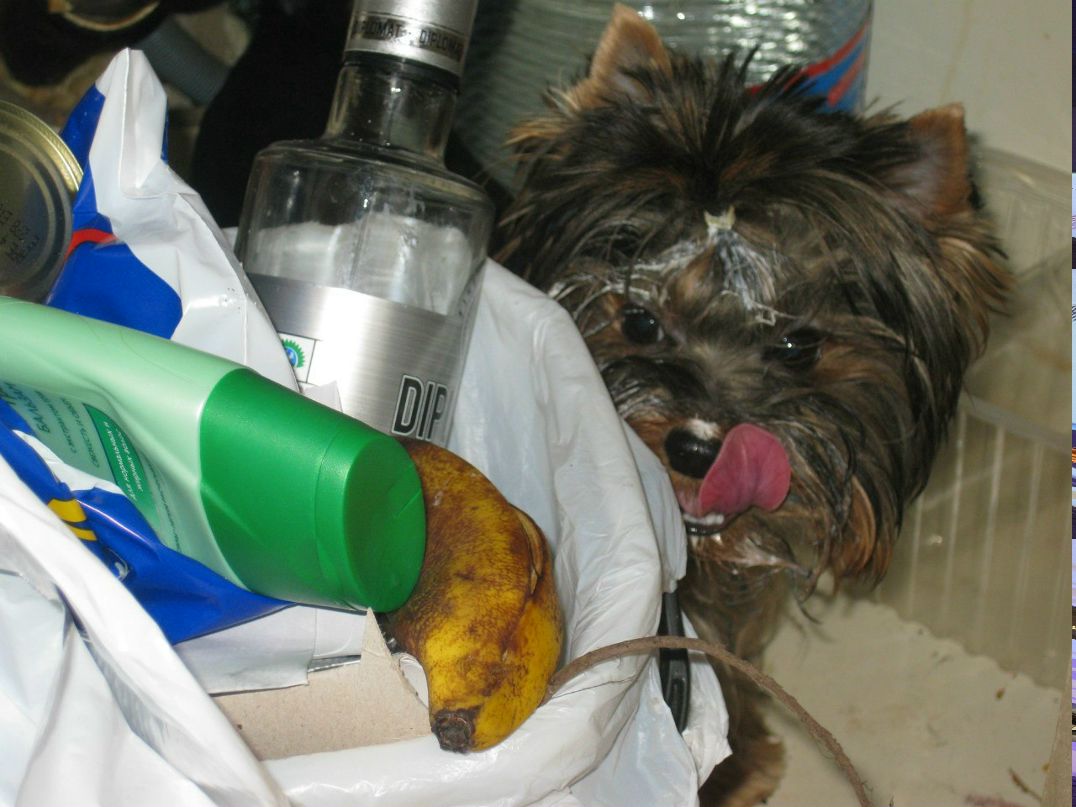 Нина Каминская Ильмировна | Санкт-Петербург