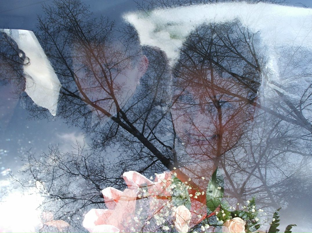 Татьяна Чудайкина-Каргаш | Новосибирск