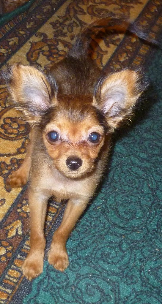 Марина Попова | Москва