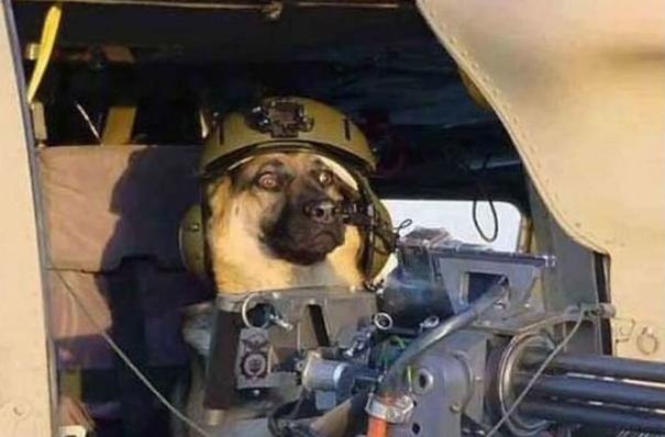 Артем Кириллов | Мариуполь