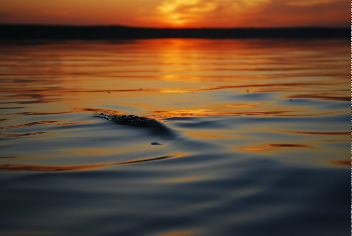 Evgeniy Potapov | Одесса