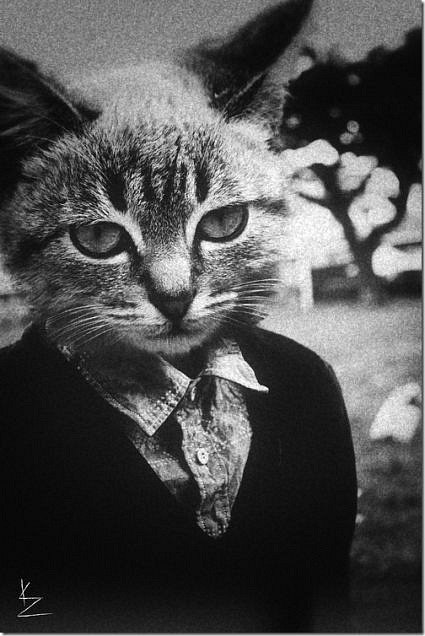 Стас Селезенев 