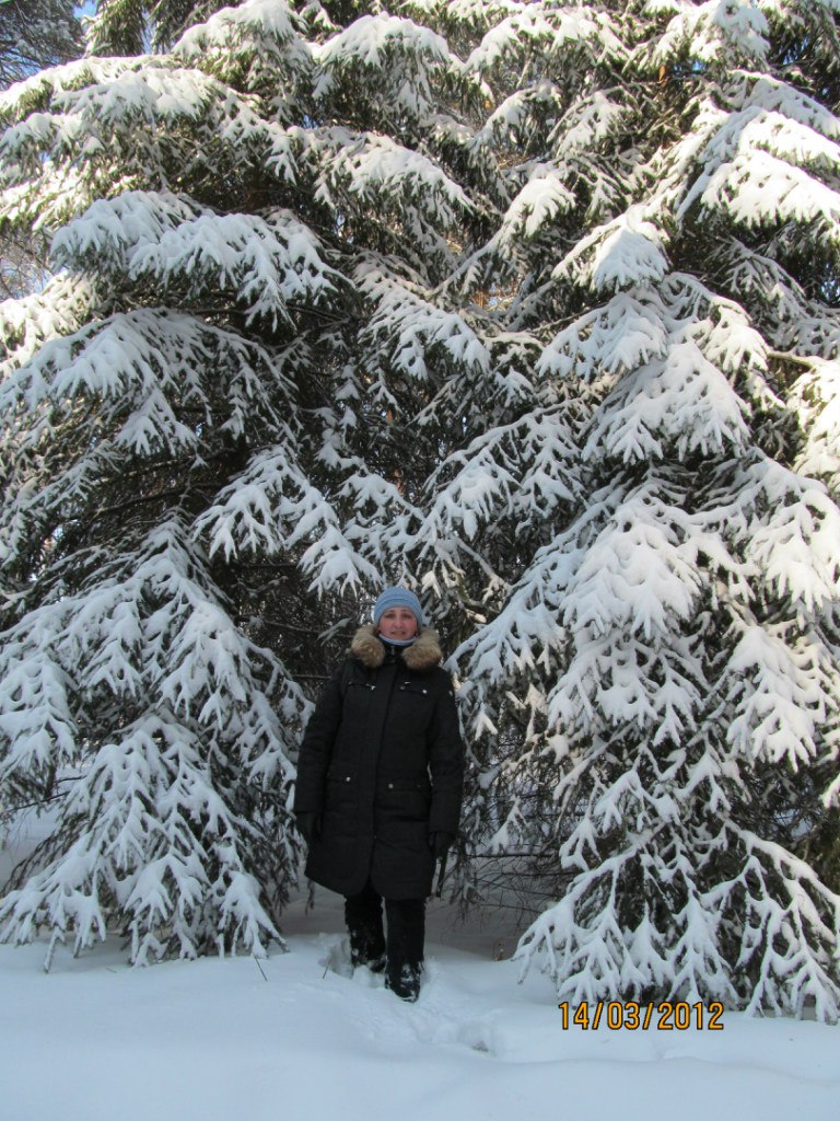 Robin Nico | Новосибирск