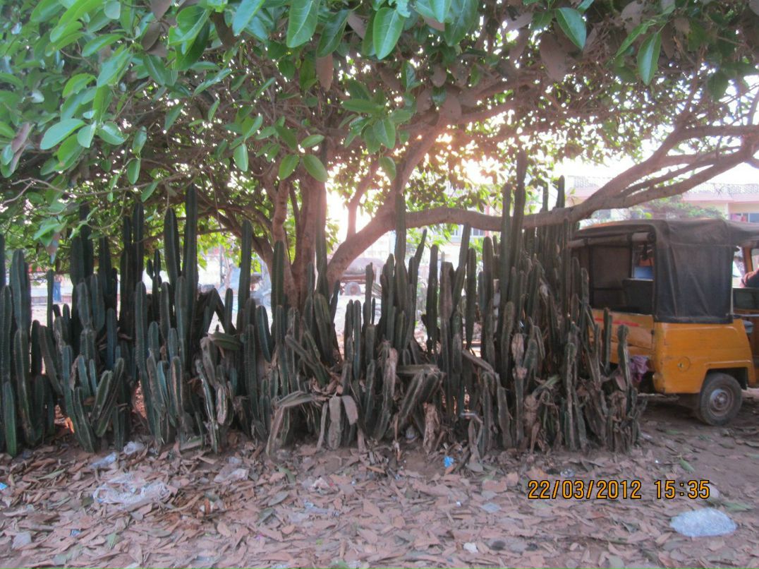 Константин Сарьян | Санкт-Петербург