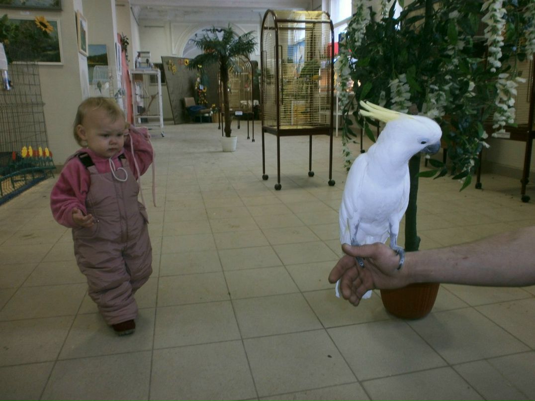 Елена Назарова | Псков