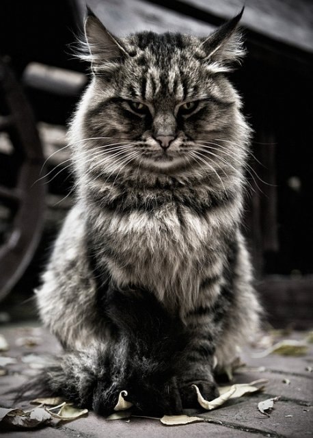 Серёжа Смит | Екатеринбург