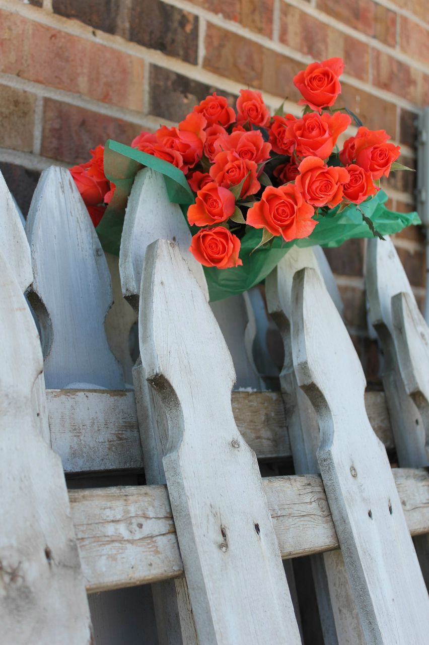 Оксана Боднарчук | Черновцы