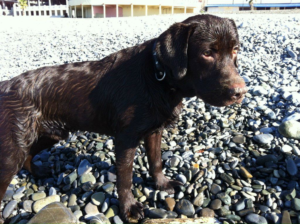 Роман Romansky | Сочи