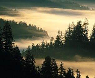 Люция Хайруллина | 