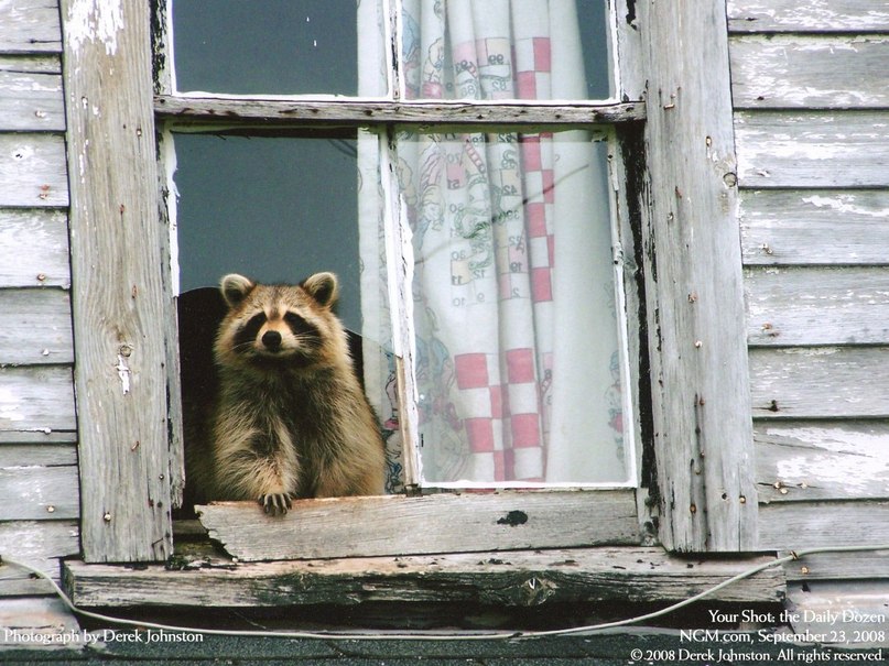 Юлия Амадео | Днепр (Днепропетровск)