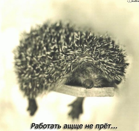 №34, Виктория Соседская, Сенной, Россия №34, Виктория Соседская, Сенной, Россия