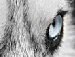 Богдан Глущенко Володимирович | Винница