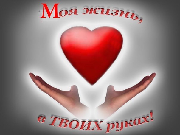 №1, Сергей Самедов №1, Сергей Самедов