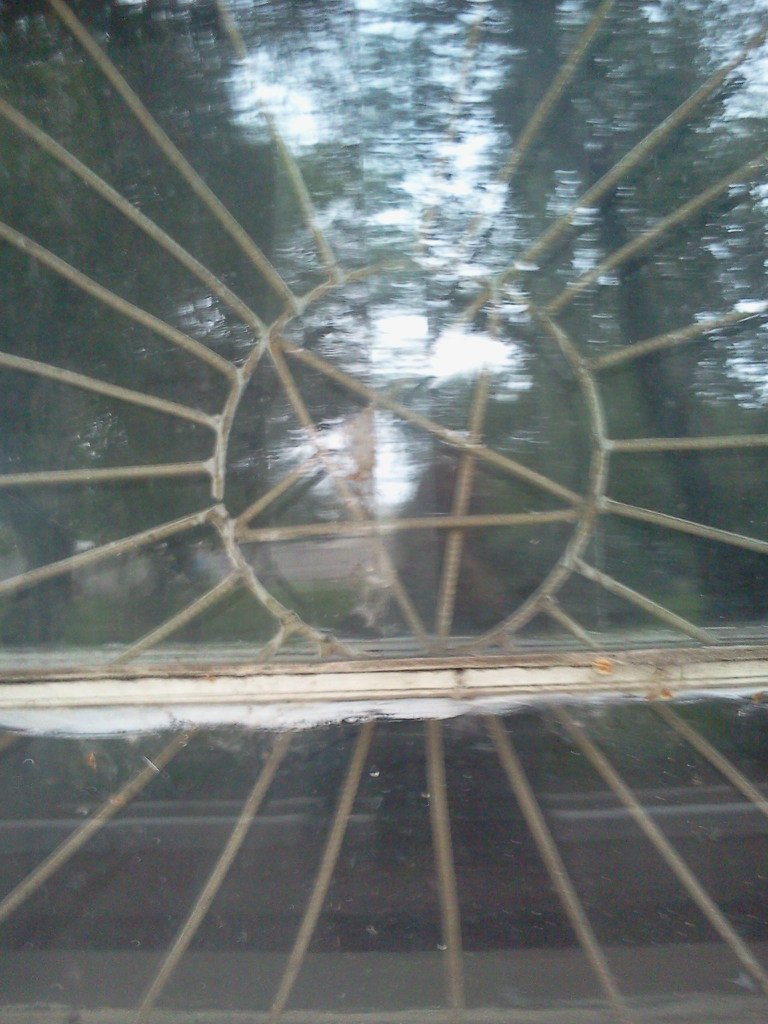 Виктор Кинько | Санкт-Петербург