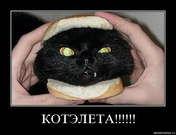 №1, Екатерина Морозова, Харьков №1, Екатерина Морозова, Харьков