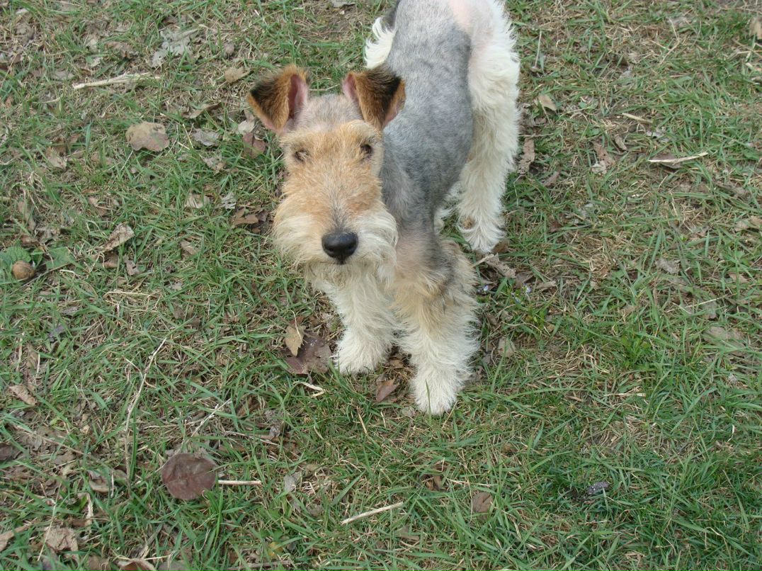 Леонид Семин | Краснодар