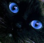 Екатерина Нургалиева | Сургут