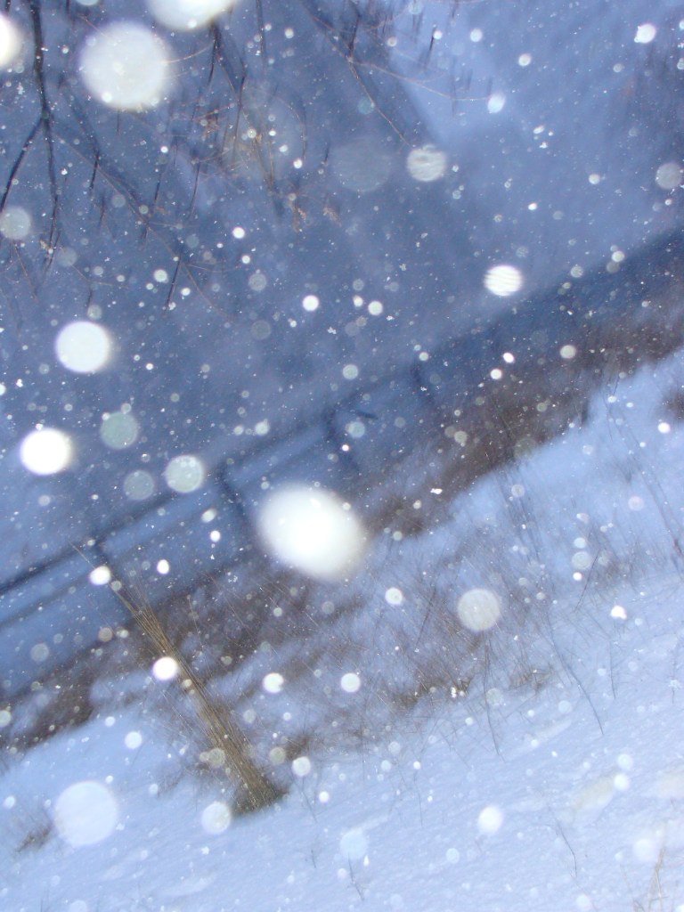 Владимир Казаров | Новороссийск