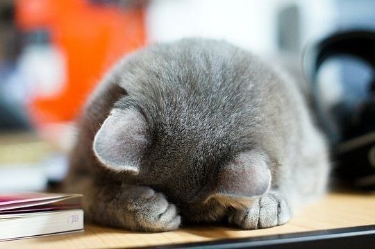 Оксана Гончарова Yu | 