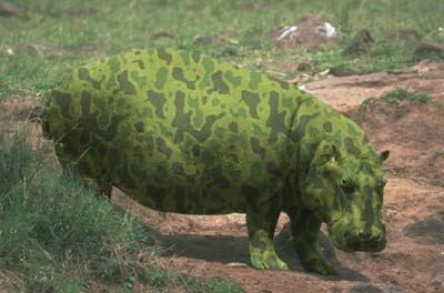 Иван Бугаенко | Одесса