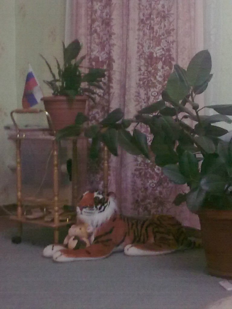 Роман Абилов | Юлдус