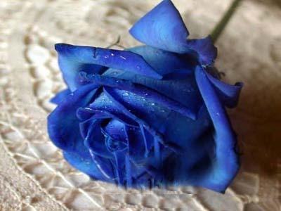 Тимея Гевці | Manchester