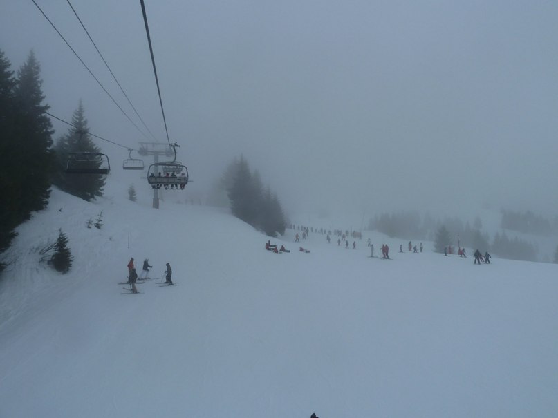 Светлана Колодийчик | Санкт-Петербург